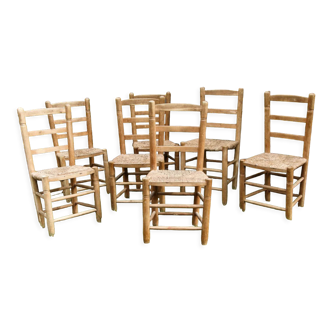 Set of 6 mulched chairs