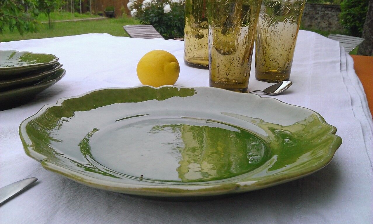 6 flat plates green BIOT