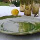 6 flat plates green BIOT