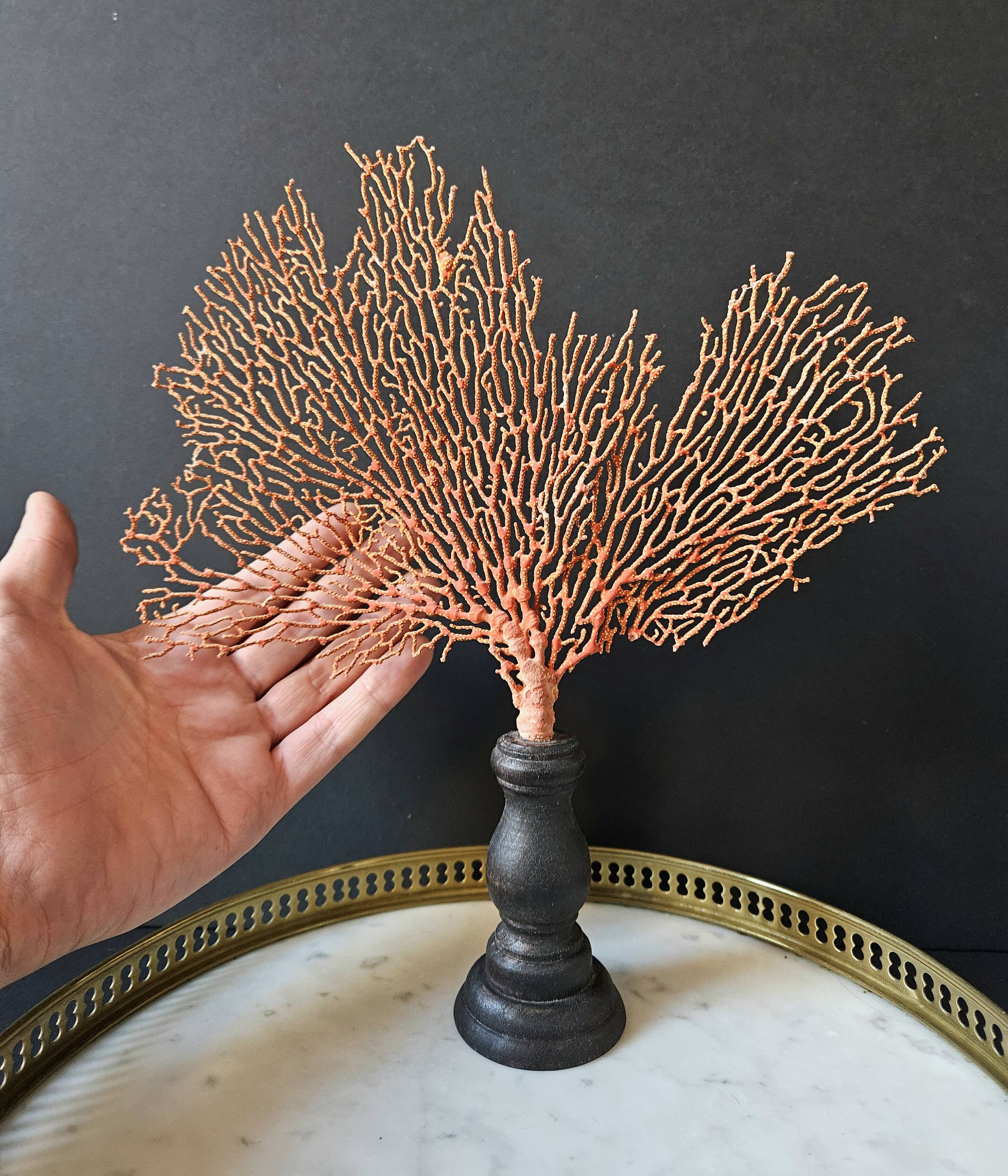 Red Gorgon Base in brown. H: 29 cm | Decorative Object & Curiosity