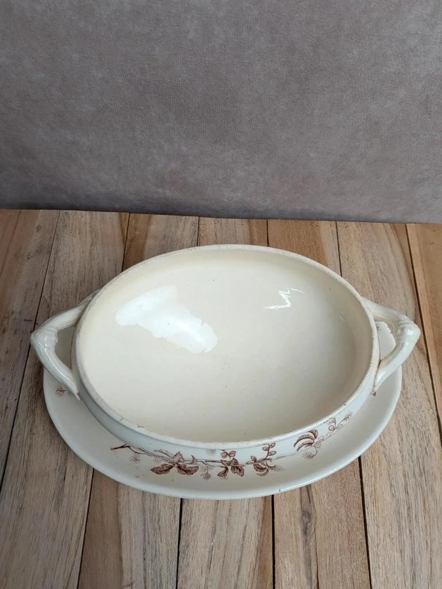 Antique sauce boat in ironstone from Salins – Sepia dragonfly decoration – With lid