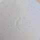 5 flat plates ADP Chardon decor from the 1970s