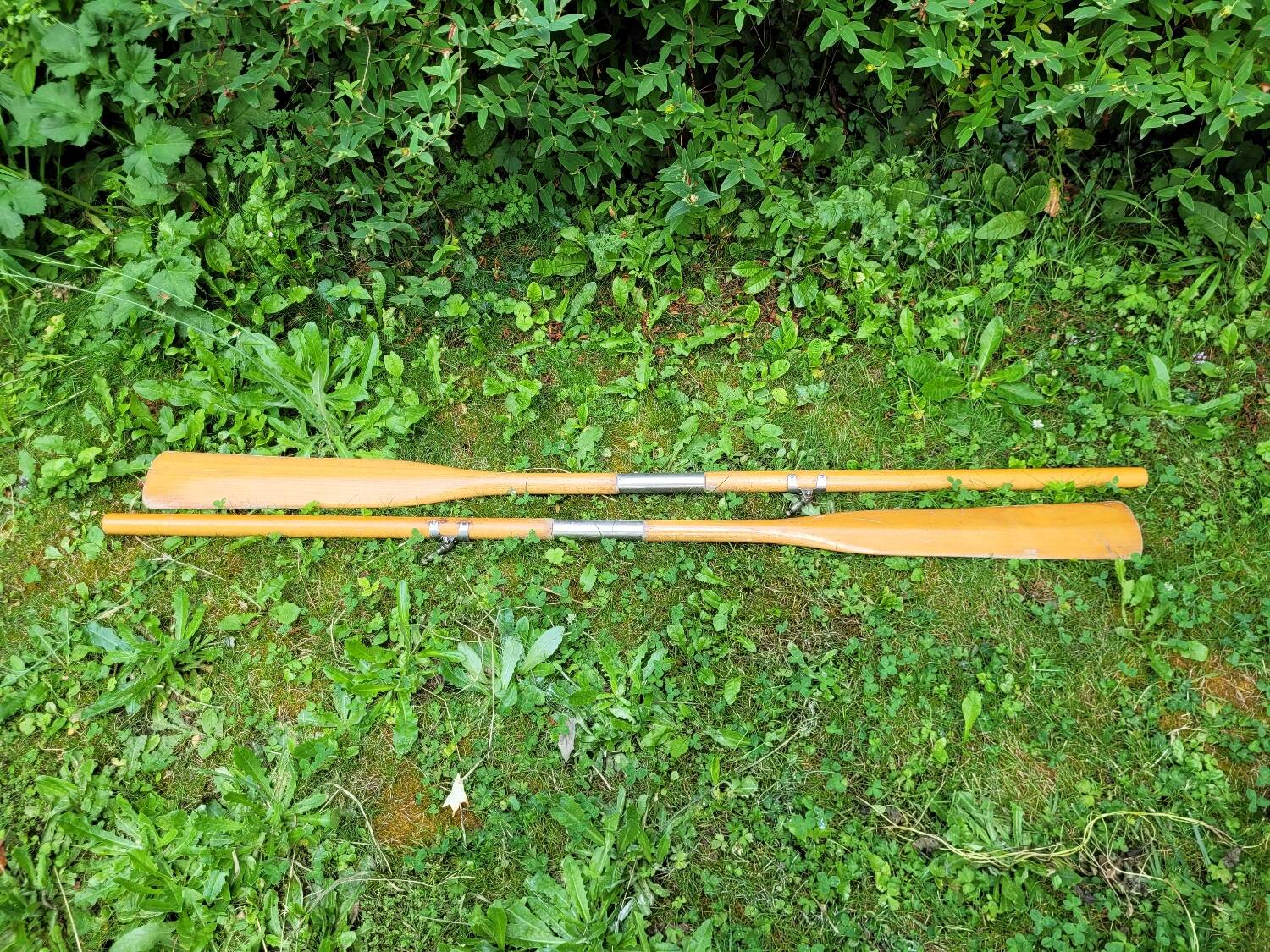 Pair of wooden oars