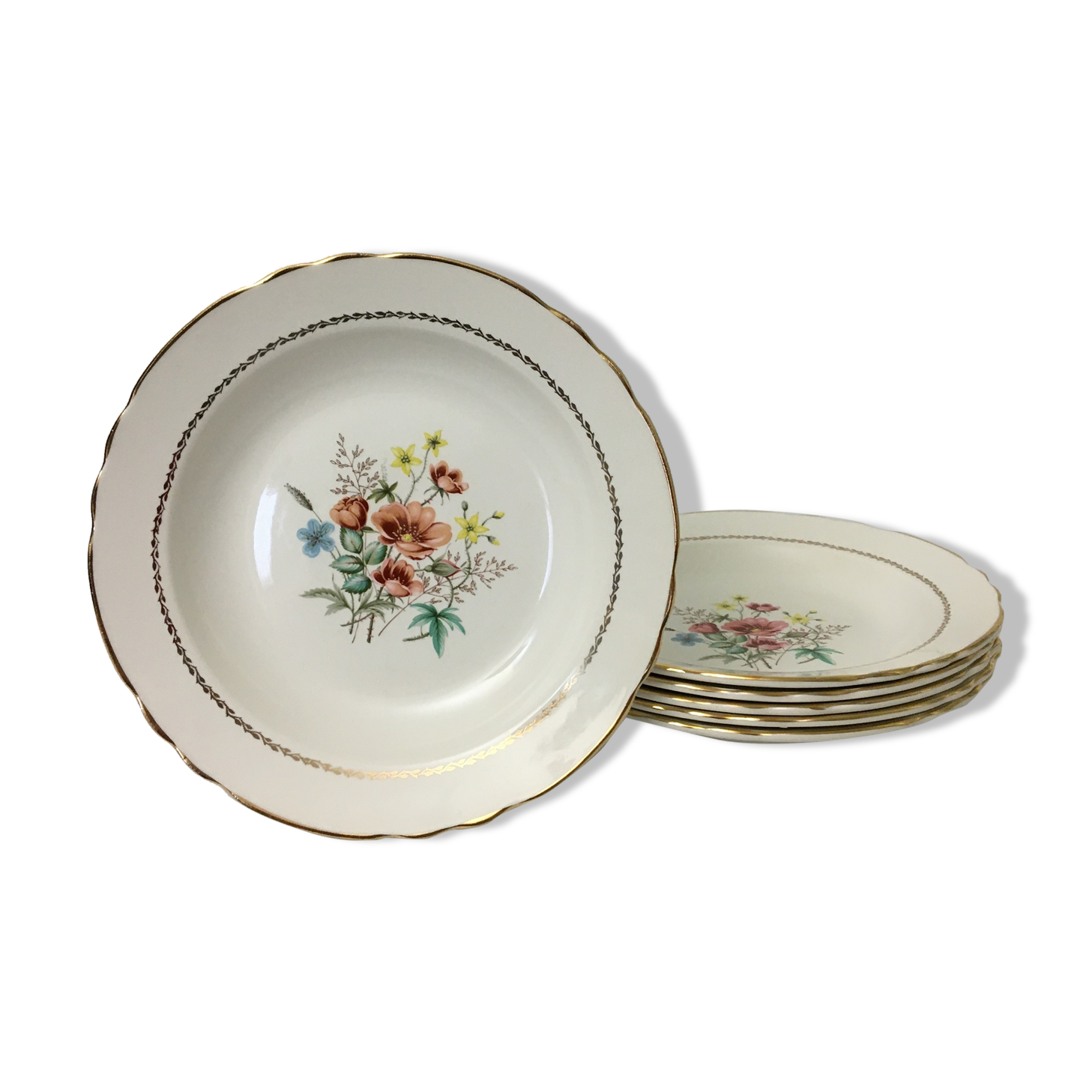 Set of 6 Hollow Earthenware Plates "SALINS" - "Manzat"