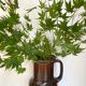 Vintage sclerich vase