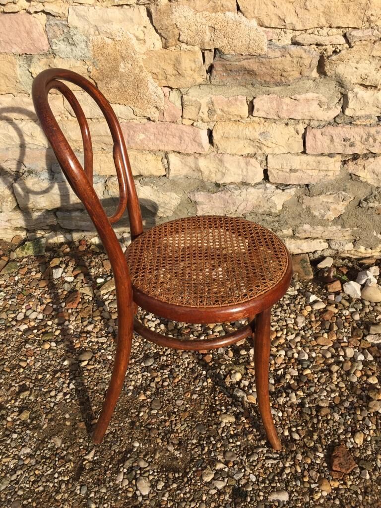 Set of 6 chairs Thonet number 20
