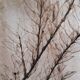 Herbarium fruit bowl