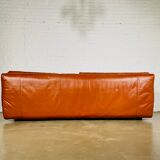 Sofa "Bengodi" by Cini Boeri for Arflex, Italy 1960's