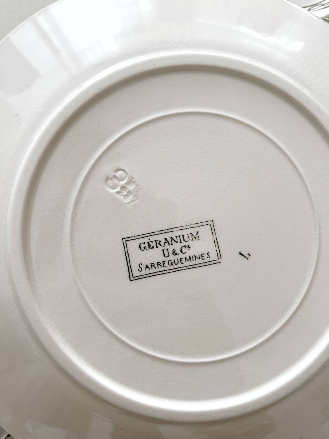 6 antique flat plates made of ironstone "Géranium" Sarreguemines