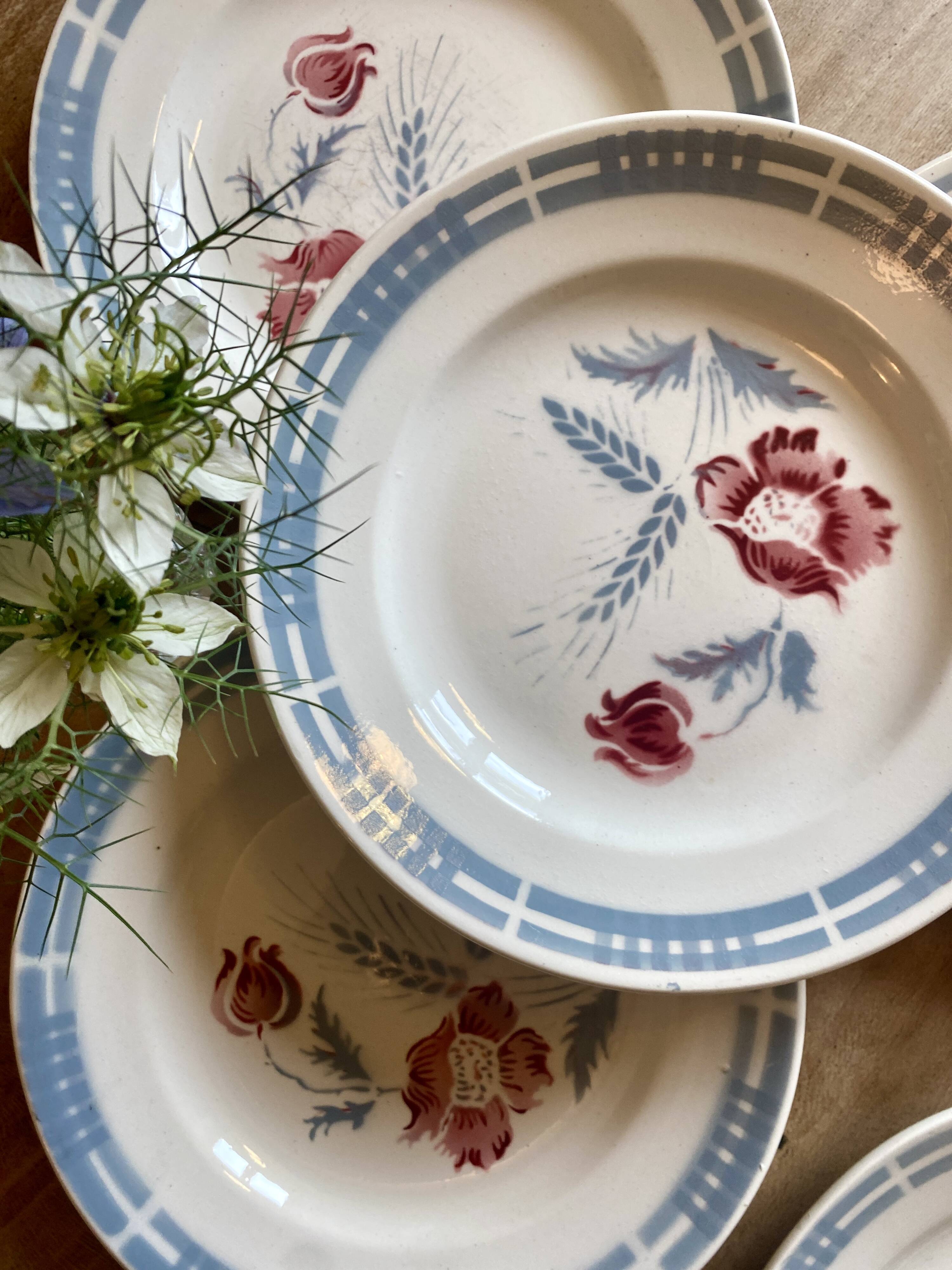 Lot de 6 assiettes plates vintages modèle Carole de la manufacture Digoin Sarreguemines