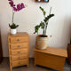 Vintage toy chest La Samaritaine