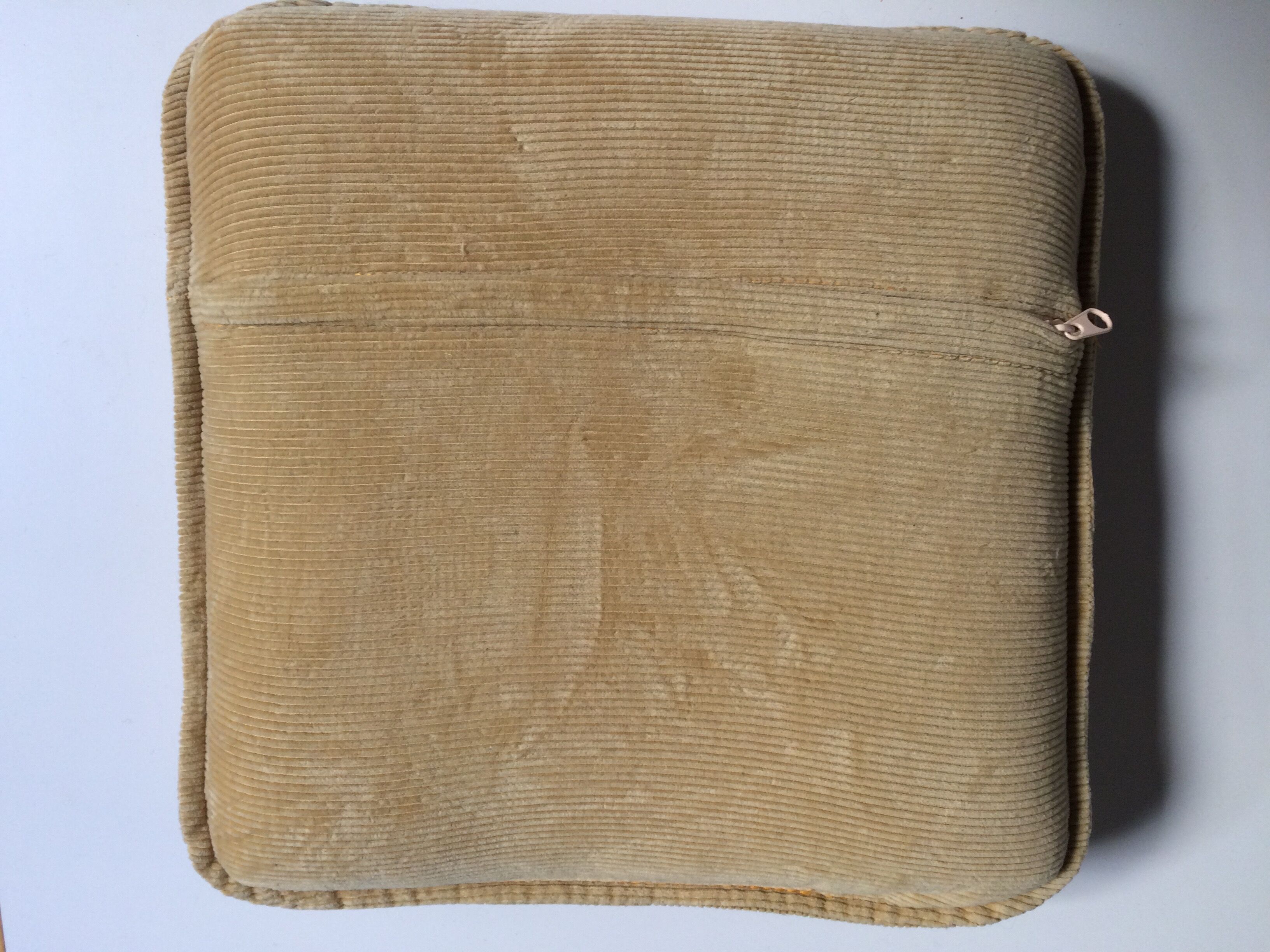 Vintage velvet cushion