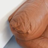 Pair of vintage Coquelicot lounge chairs by Tito Agnoli for Poltrona Frau in leather from the 70s