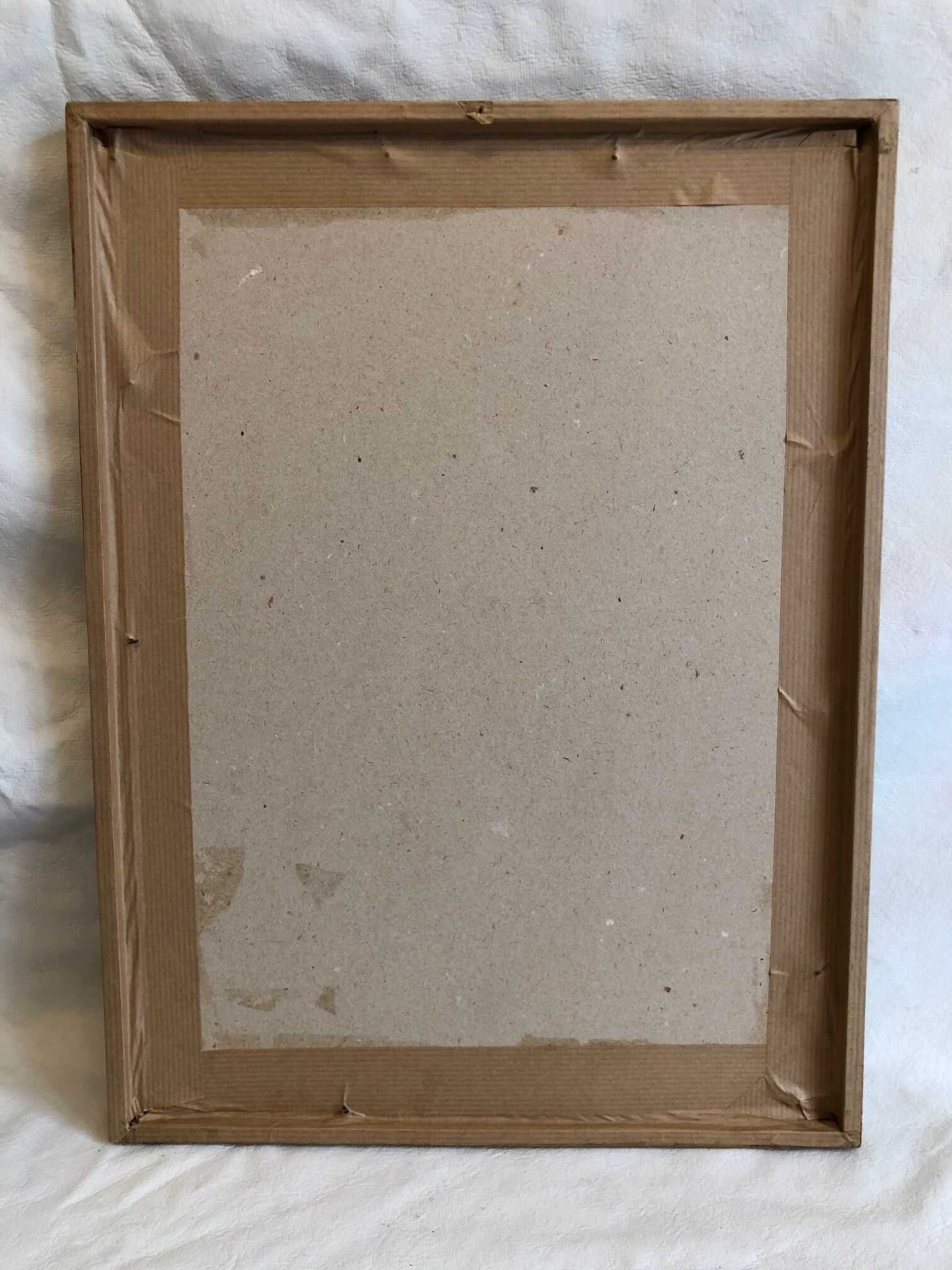 Dreaded Frame Rosa "Rosa alba Regalis"