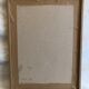 Dreaded Frame Rosa "Rosa alba Regalis"