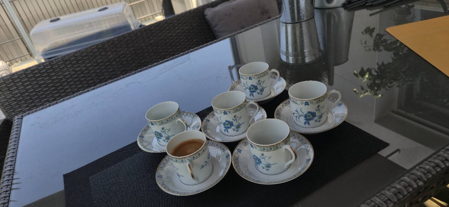 Limoges porcelain coffee service – Haviland France – floral model b