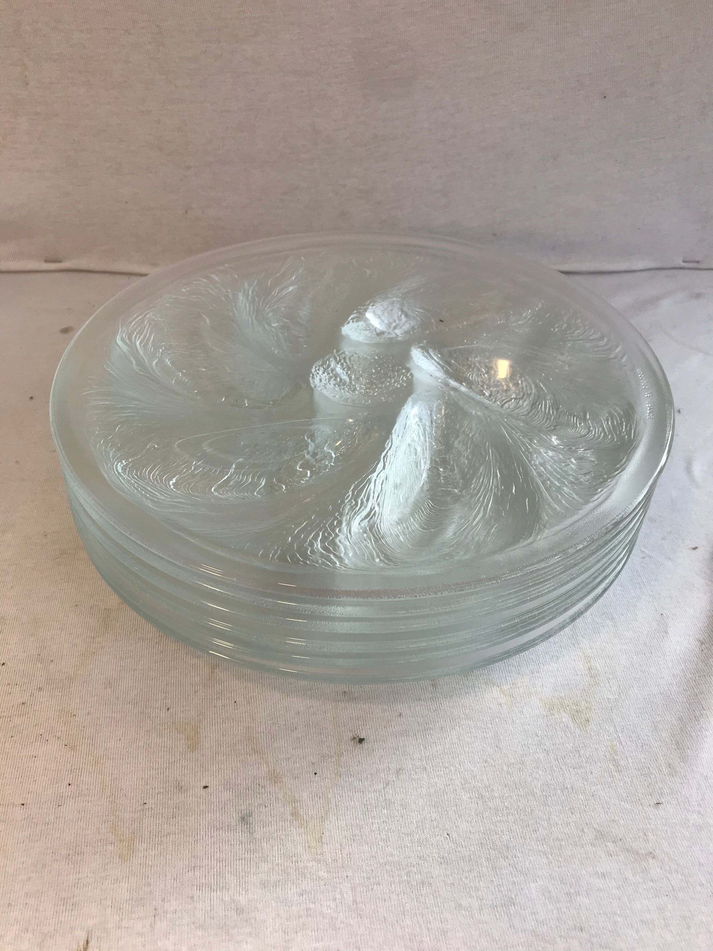 Series 6 old oyster plates Arcoroc moulded glass - vintage box