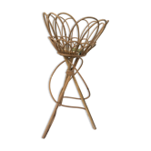 Door plant in rattan and bamboo vintage 1960