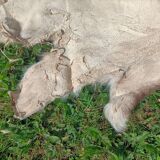Reindeer skin rug