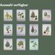 Illustration Pin Weymouth - Vintage Nature Botanical Tree Board 60s