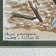 2 watercolors birds