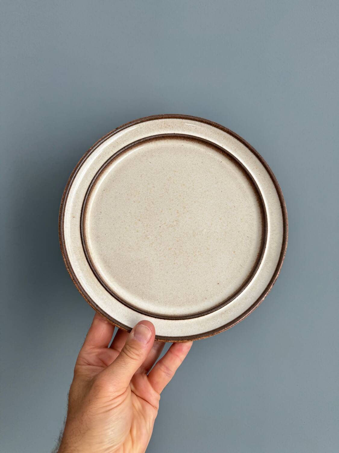 6 Stogo Scandinavian stoneware dinner plates