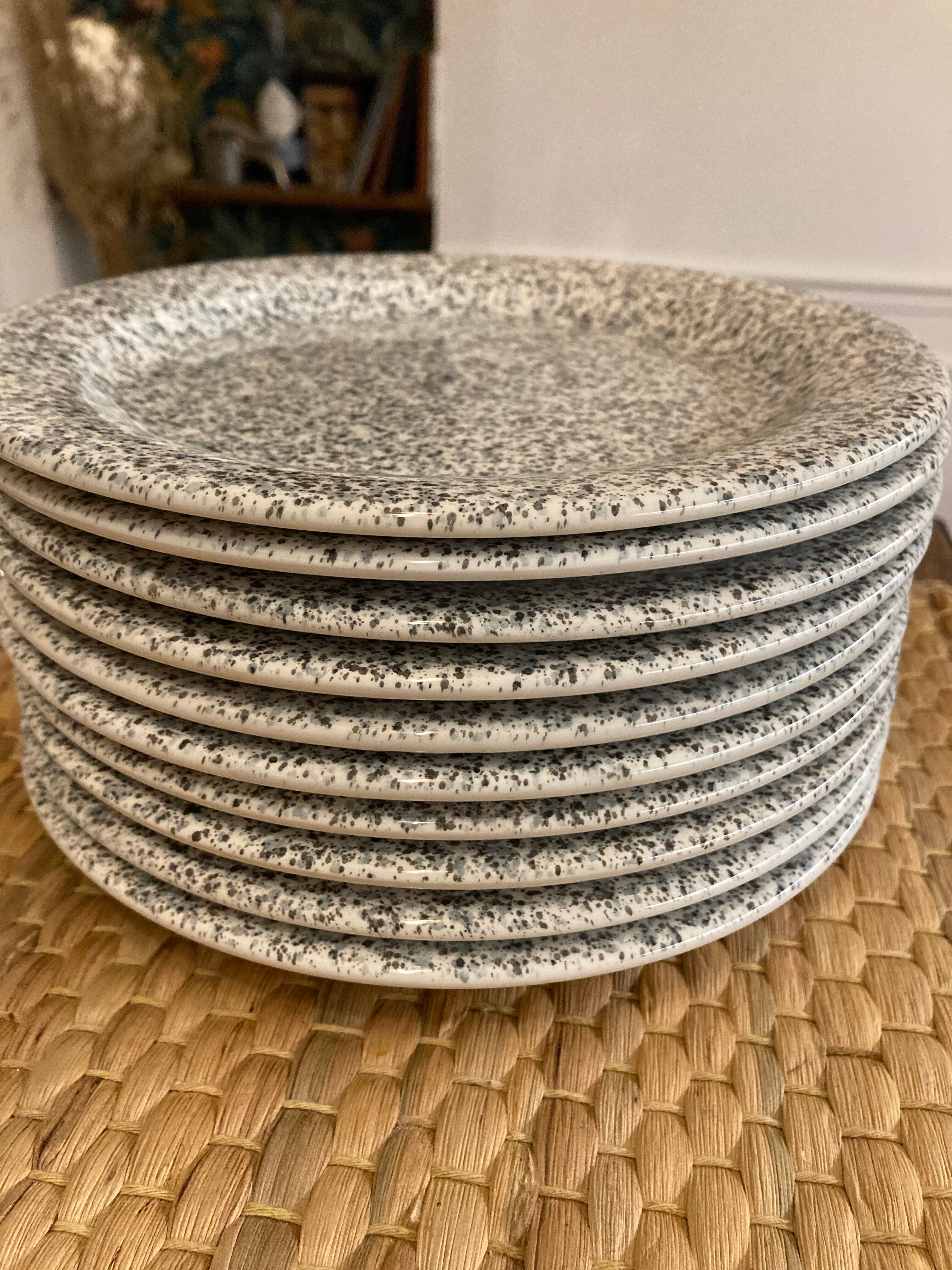 Lot 10 speckled plates Quadriflogio