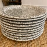 Lot 10 speckled plates Quadriflogio