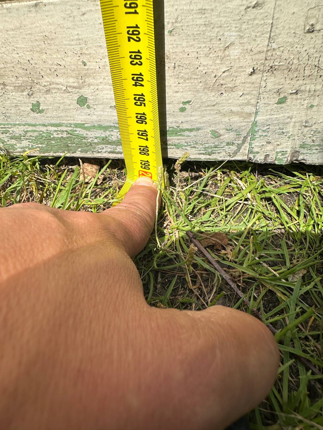 Parisian wardrobe doors