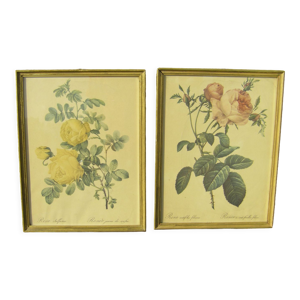 Paire de gravures florales