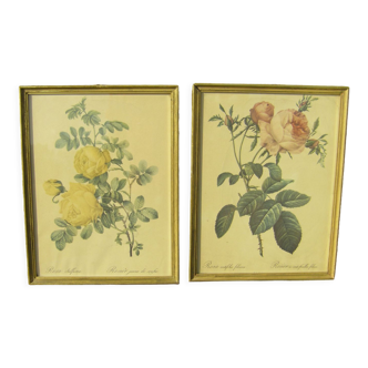 Paire de gravures florales