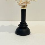 Antique Murex Ramosus Shell on a turned wooden base Napoleon III 19th century