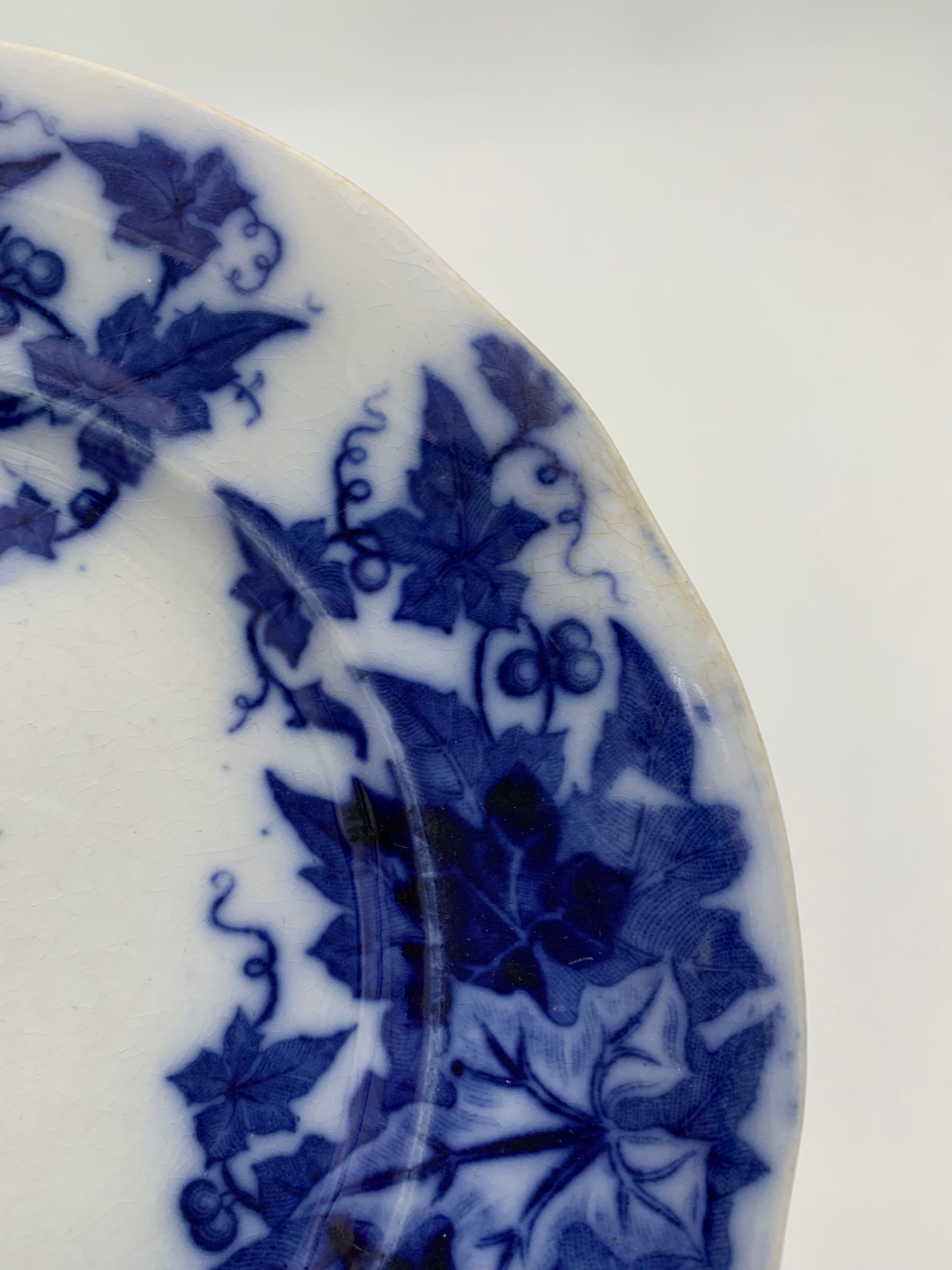 Old earthenware plate SARREGUEMINES, Bryonia model - Late 19th century