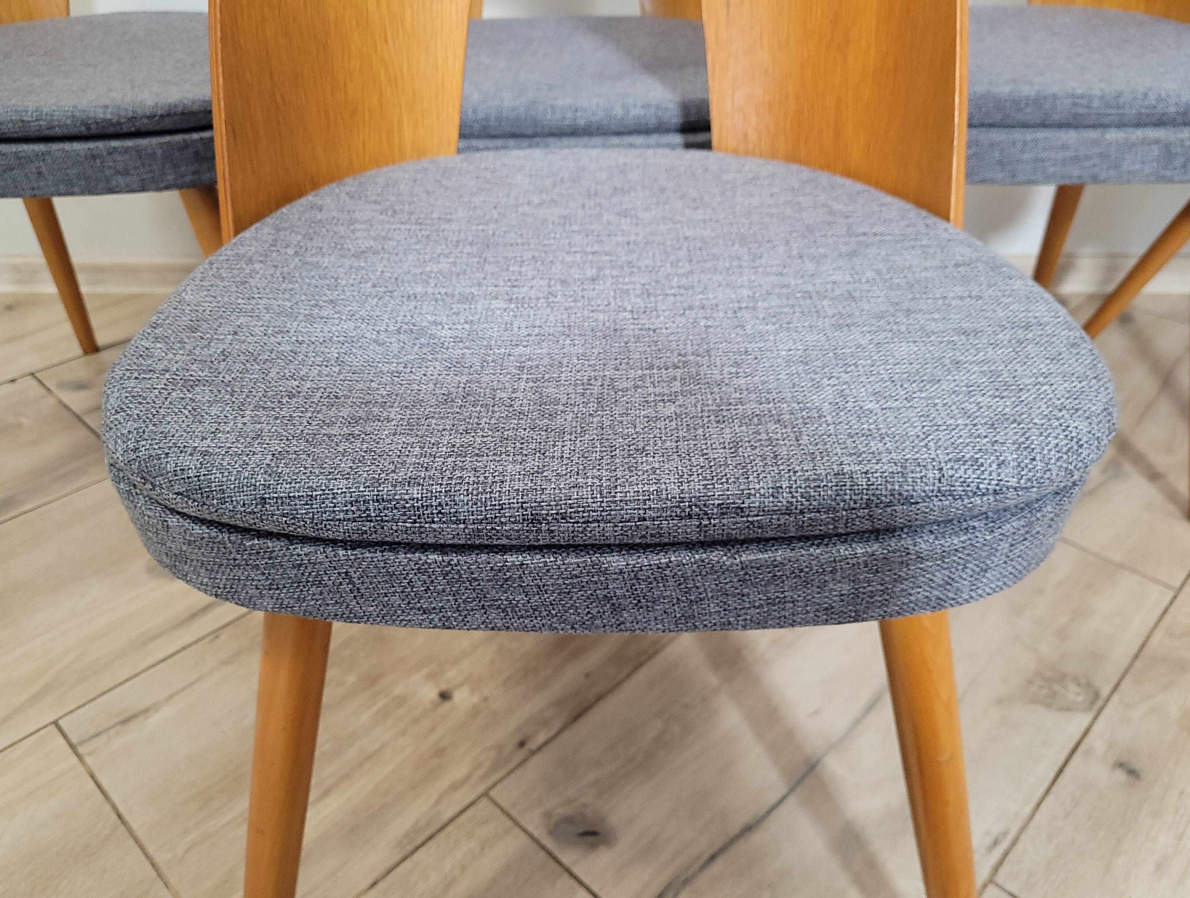 Chairs by Anotnin Suman Design Czechoslovakia, 1960