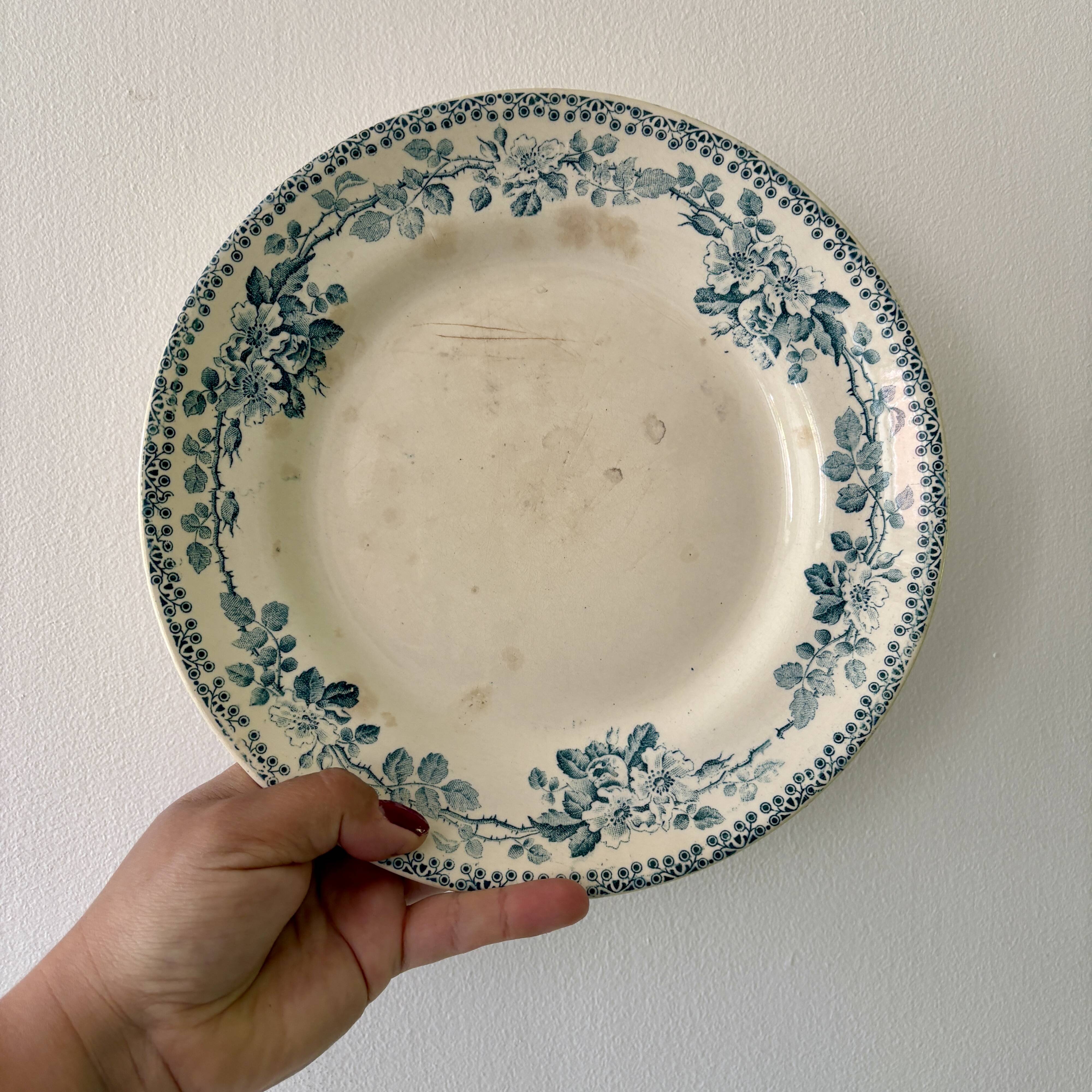 Lot de 10 assiettes plates anciennes en terre de fer dépareillées