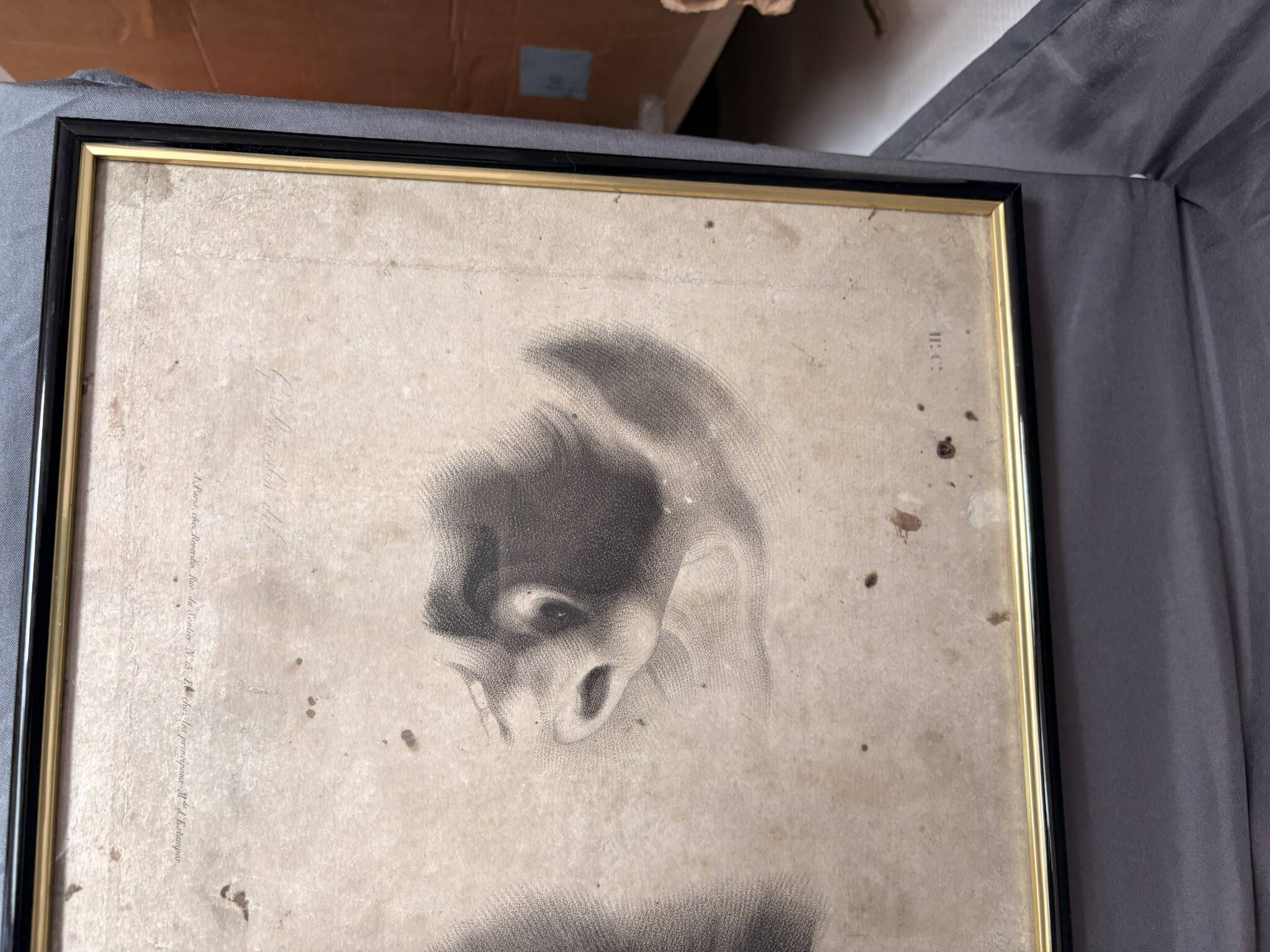 Old Print Engraving 19th Century Shadowed Notebook Nose - Bertrand Reverdin Coindet