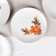 Vintage Bavarian porcelain plates