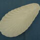 Old white ravier in shell-shaped porcelain