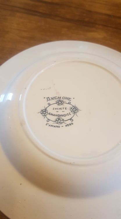 Plate in Iron Earth Saint Amandinoise model Anémone