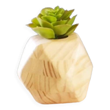 Soliflore en bois massif avec fiole en verre