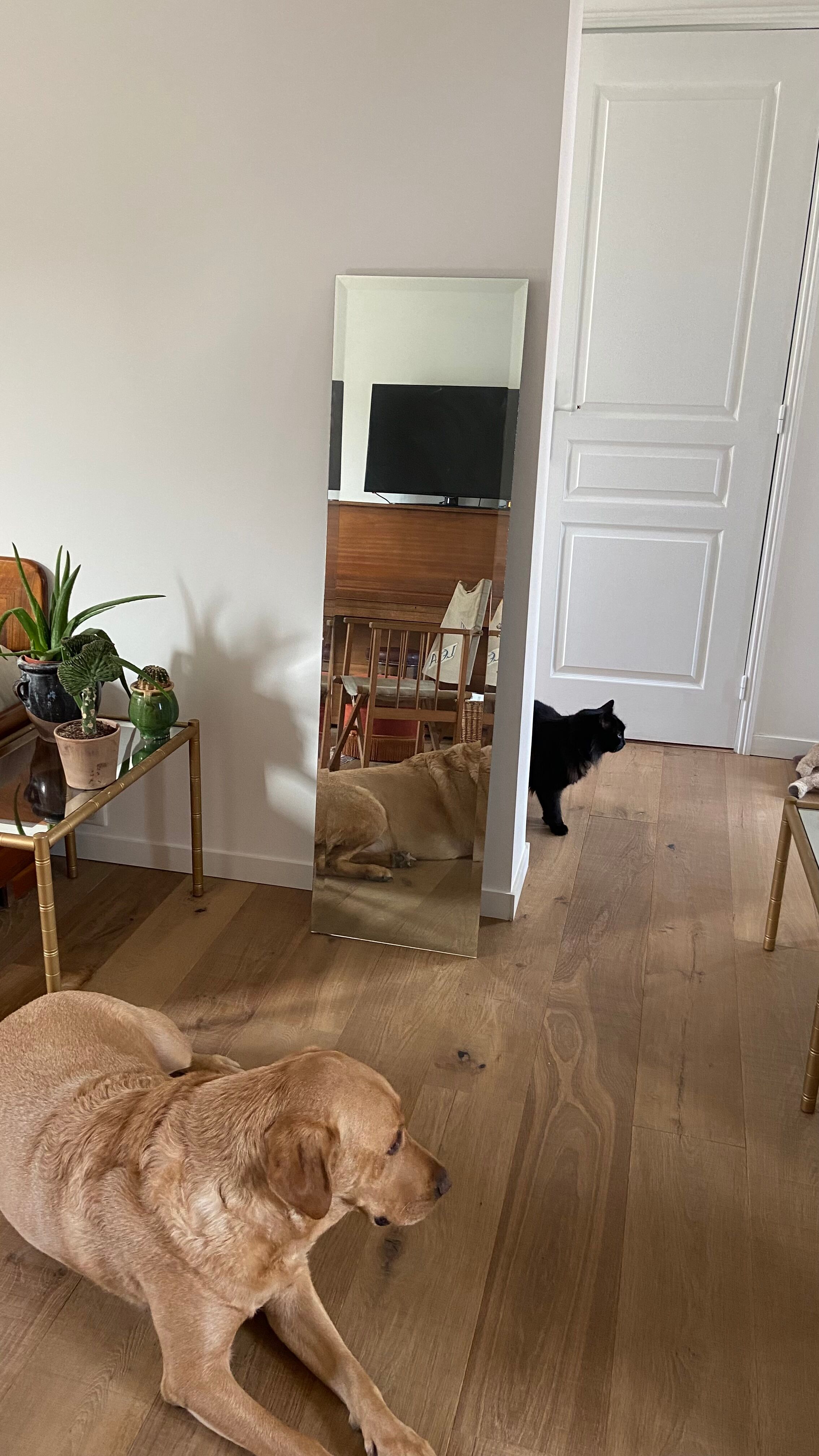 Beveled mirror 142 x 39 cm from the 70s