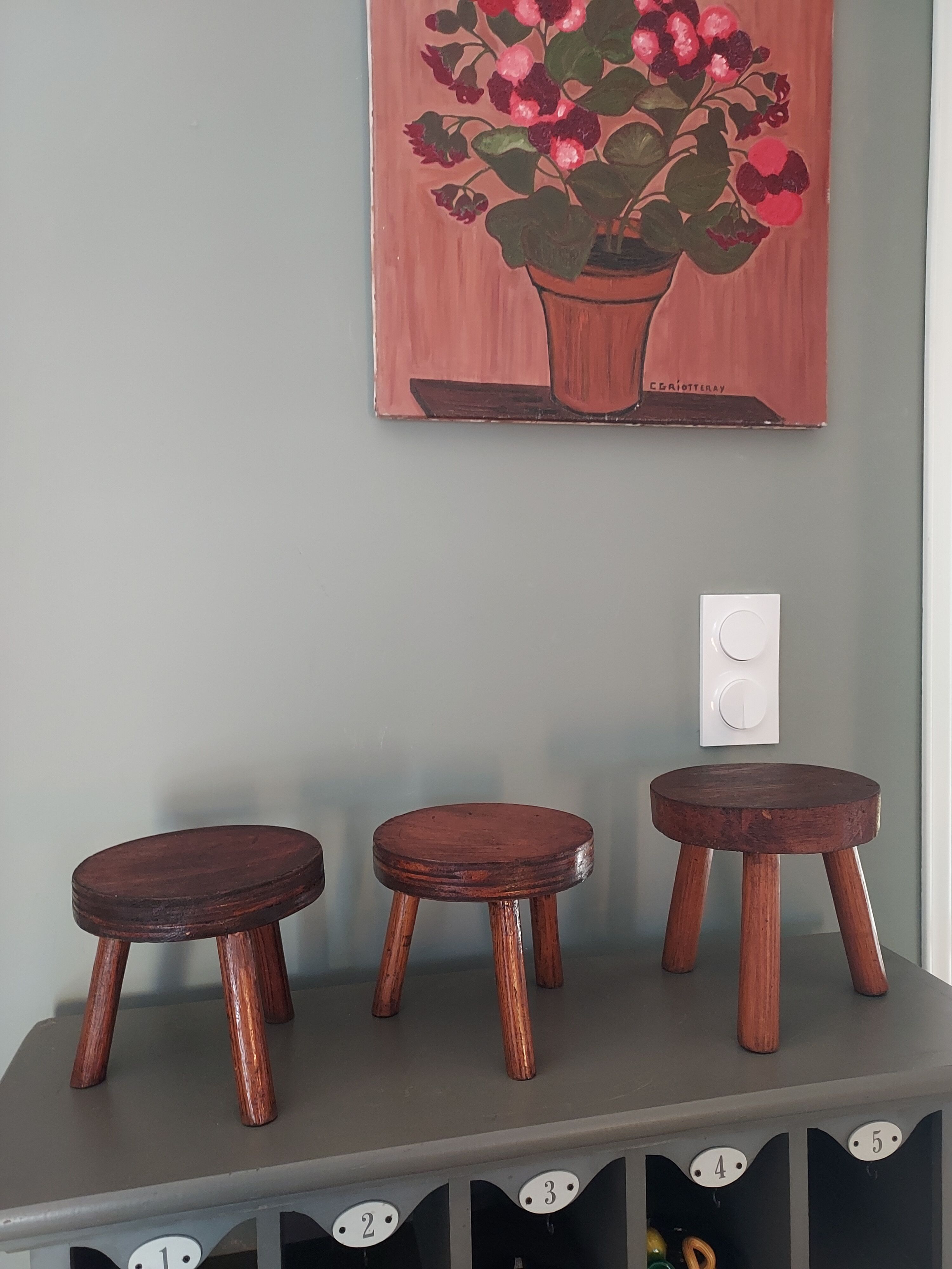 Door trio of artisanal vintage plants