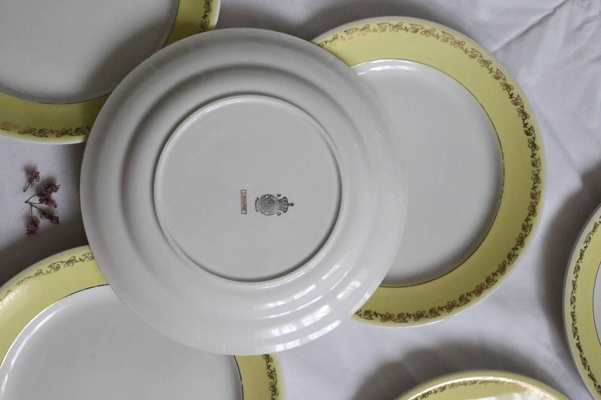 Set of 6 flat plates Luneville, Libourne model, vintage French