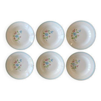 6 assiettes creuses anciennes en faïence de Salins-les-Bains (Jura)