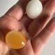 Vintage Marble Chicken with Eggs Sculpture