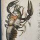 Crayfish vintage anatomy poster wall board from 1960's