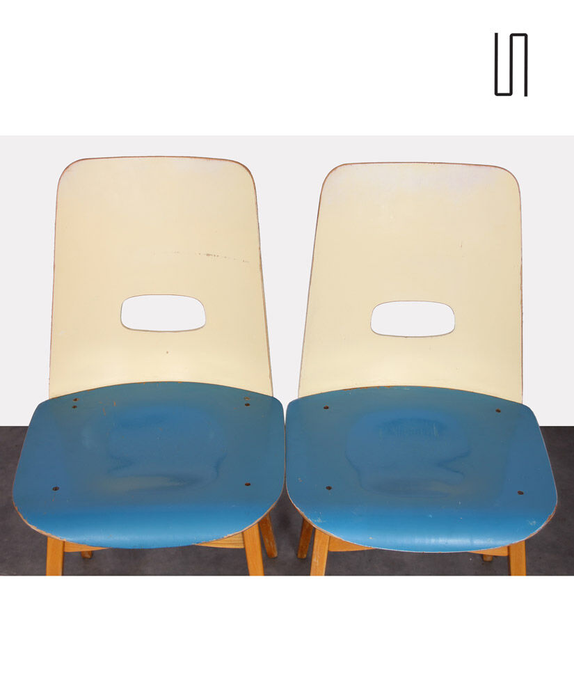 Pair of blue chairs for Czech publisher Ton, 1960