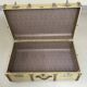Travel trunk