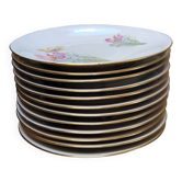 CCP luxury porcelain 12 dessert plates
