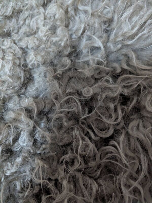 Tapis peau de mouton naturelle Dyreskinn